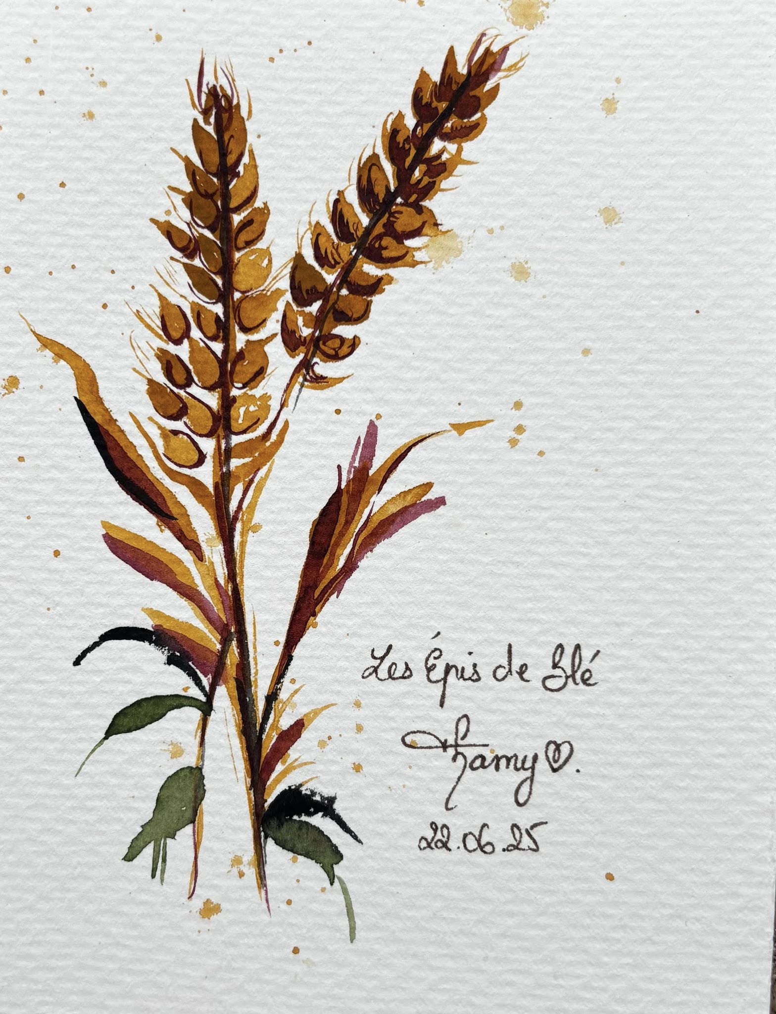 Aquarelle — deux épis de blé dorés sur fond blanc, feuilles vertes et rouges en éventail à la base, signée Tamy 22.06.25.