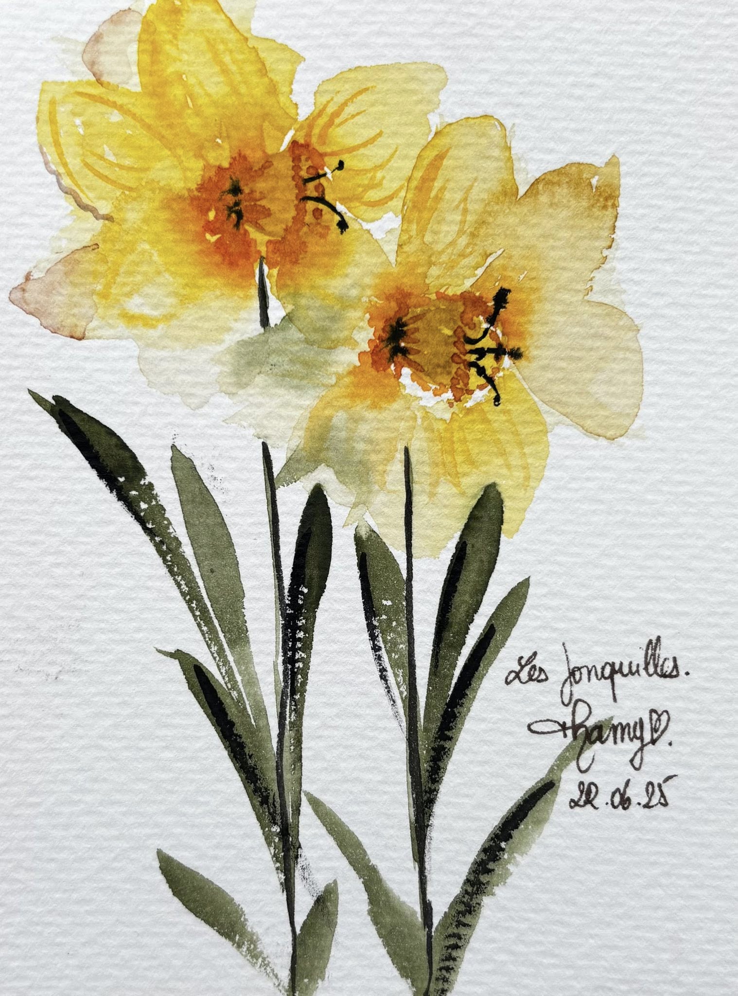Aquarelle — deux jonquilles jaunes pleinement ouvertes sur tige fine, feuilles vert-de-gris en bas, signée Tamy 22.06.25.