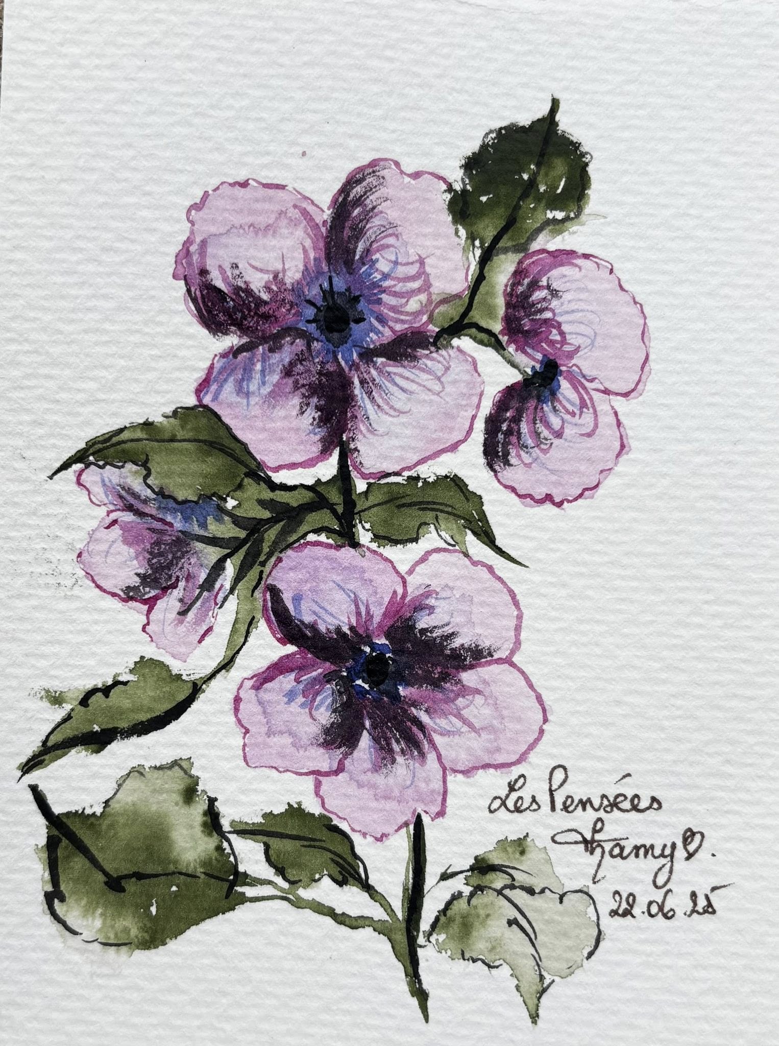 Aquarelle — trois pensées violettes au cœur sombre, sur tige souple, feuilles vertes en bas, signée Tamy 22.06.25.