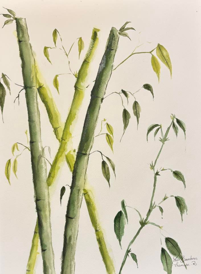 Cette illustration rend hommage aux paysages d’Asie qui ont vu naître le bambou, symbole de force, de souplesse et de sérénité.