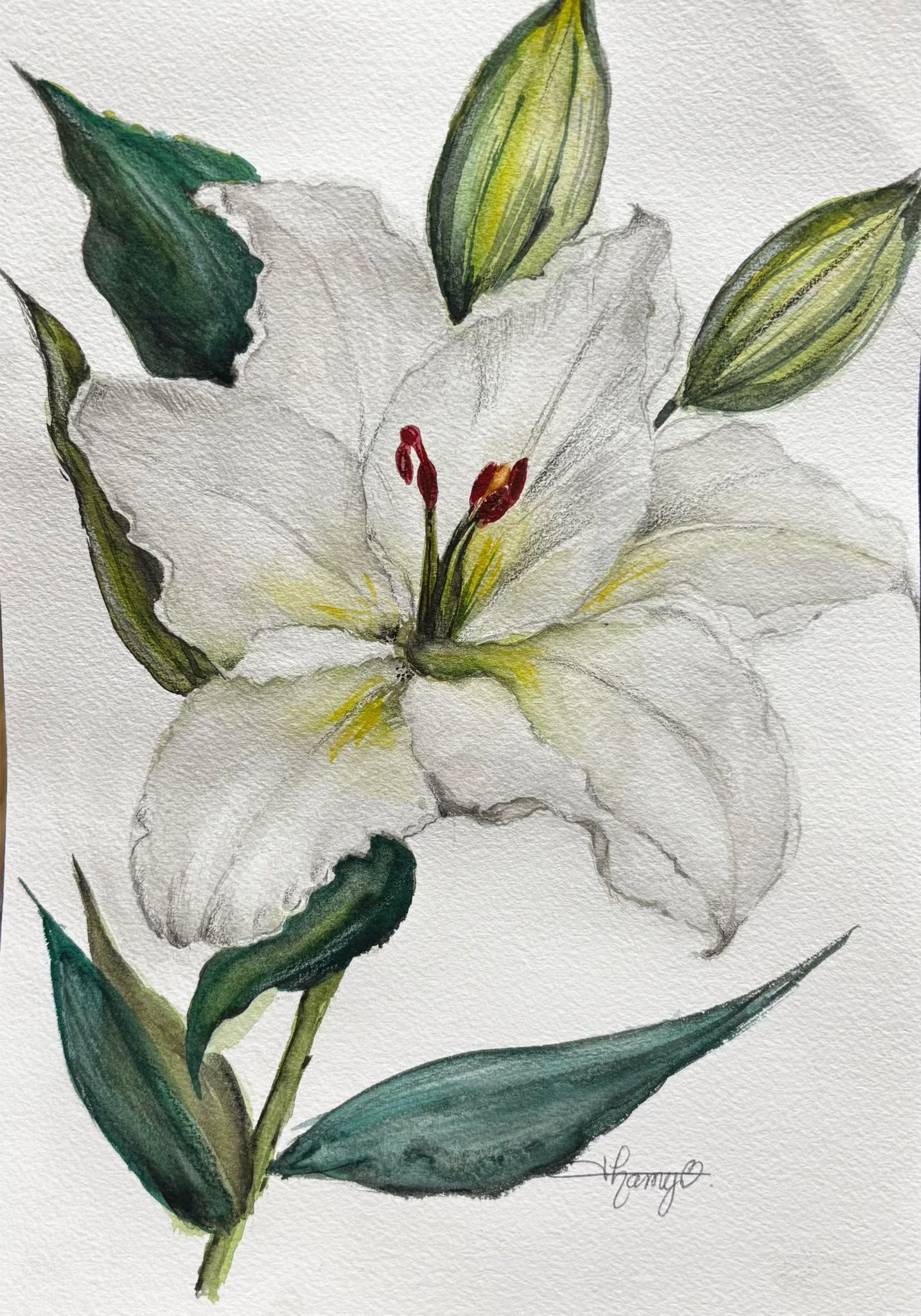 Cette illustration de lys blanc a été pensée pour une amie qui affectionne particulièrement cette fleur.
À travers ses pétales délicats, elle évoque toute la douceur, l’élégance et la sincérité qu’elle inspire.